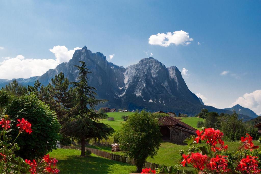 Hotel Viktoria กัสเตลรอตโต ห้อง รูปภาพ