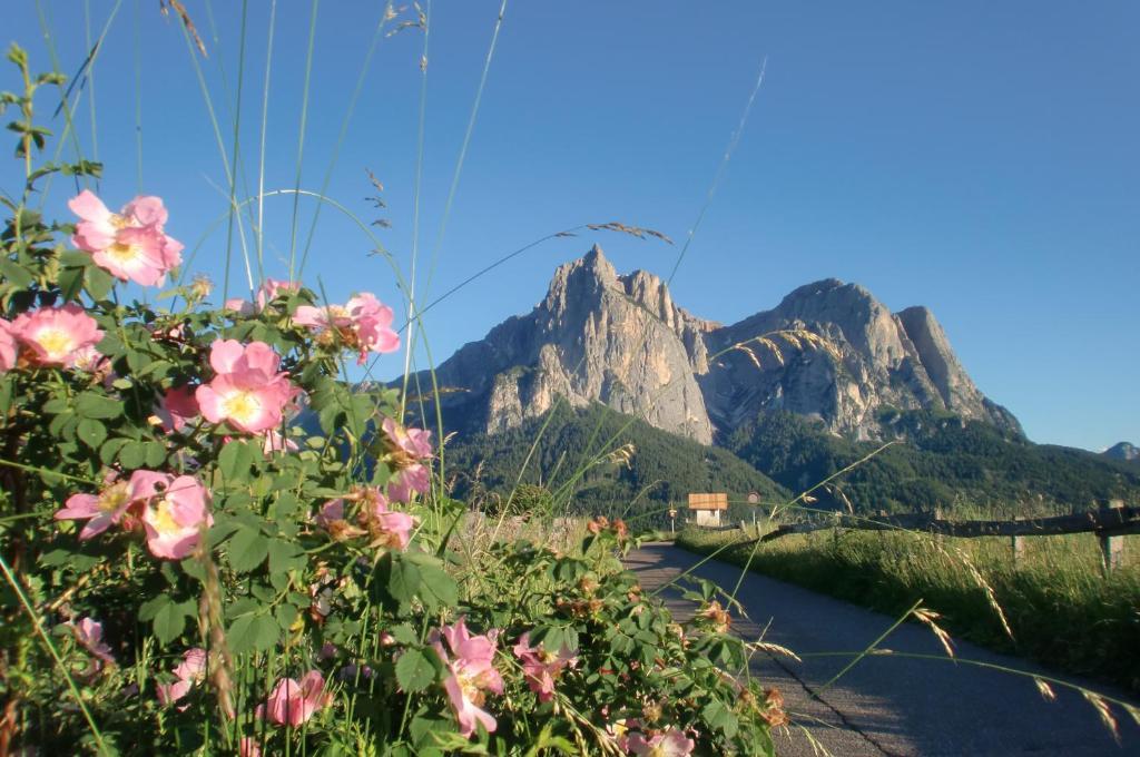 Hotel Viktoria กัสเตลรอตโต ภายนอก รูปภาพ